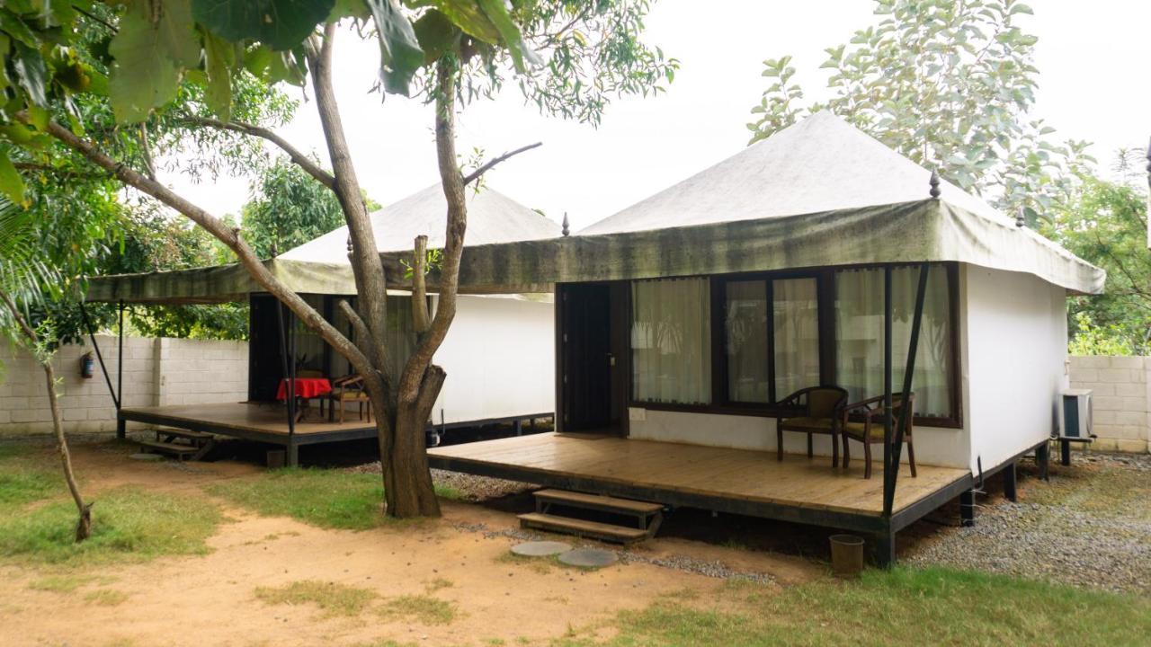 16 Bedouin Luxury Tents Hosūr Extérieur photo